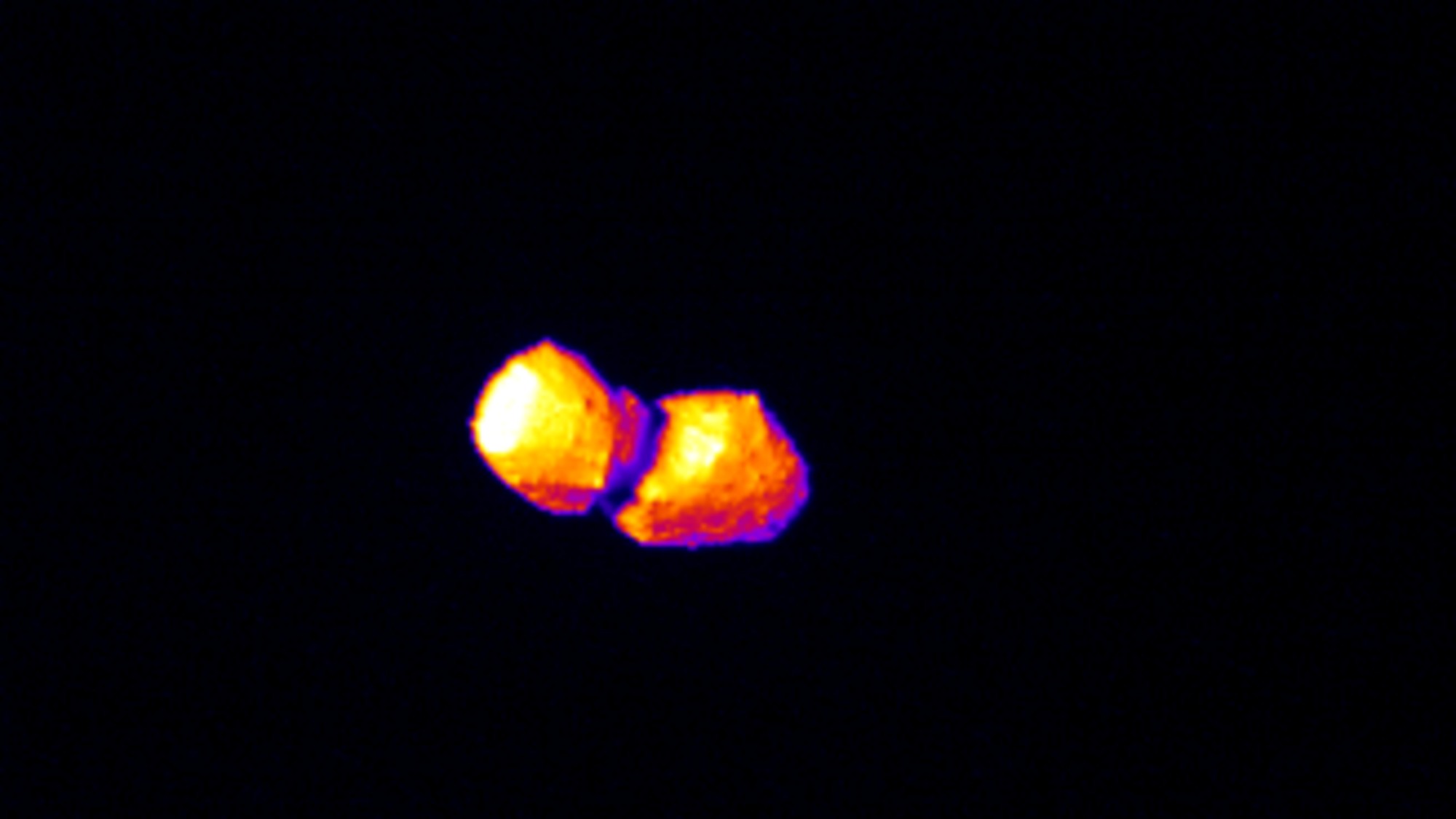 a double-lobed space rock on a black background, depicted in a gradient of false colors ranging from white-yellow to deep violet