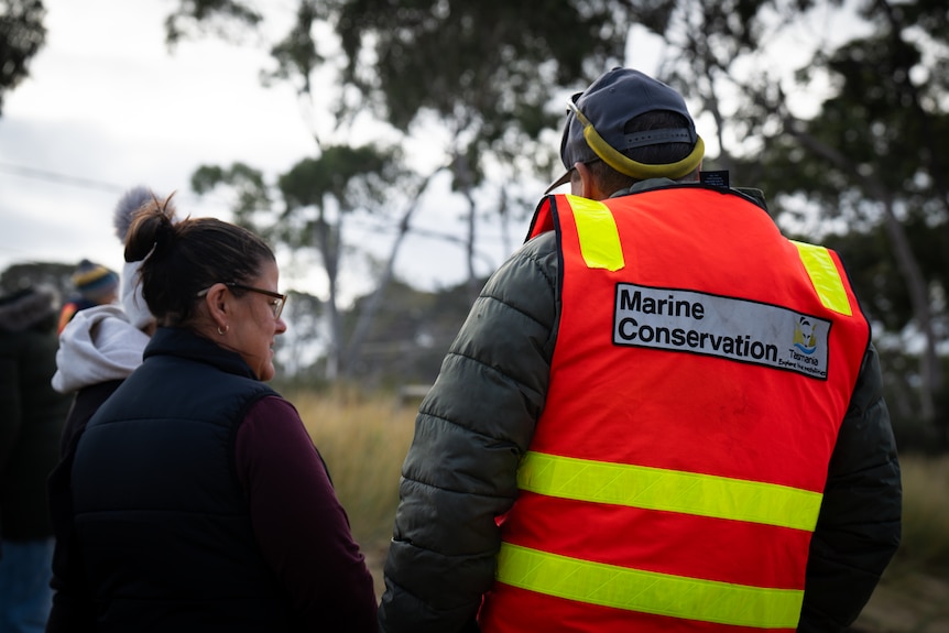 A man, photographed from behind, wears an orange vest with "Marine Conservation Tasmania" written on the back.