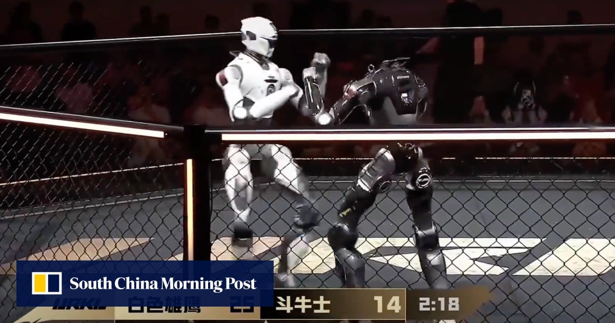 Robot wars: MMA bout between humanoids leaves 1 without a head, fans stunned