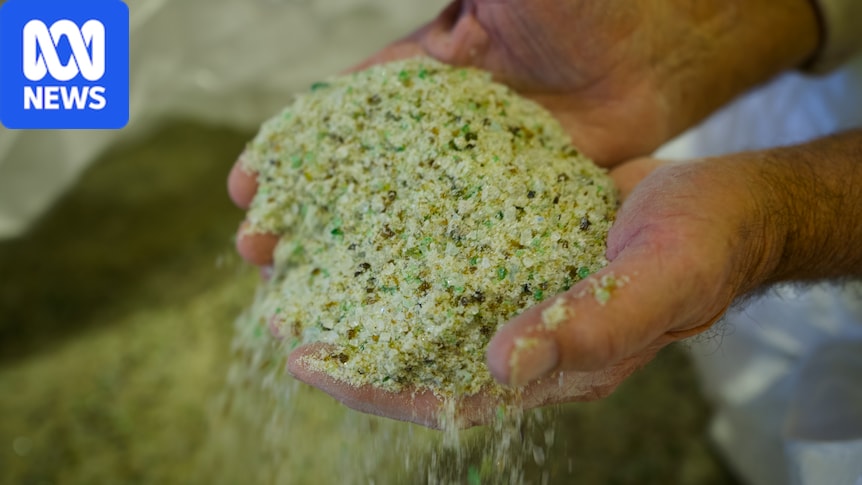 Pulverised recycled glass helps boost farm productivity with benefits to soil, plants and livestock