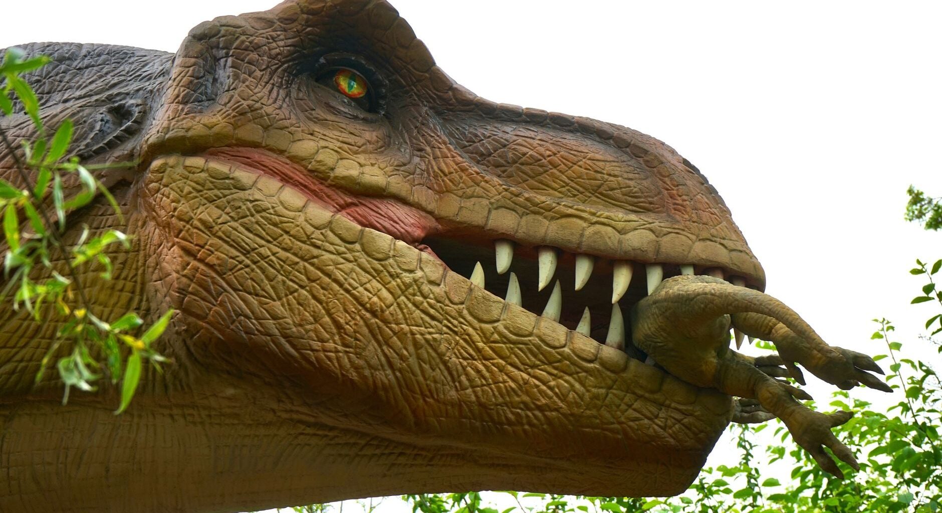 For much of the past century, scientists believed dinosaurs were already in decline when the asteroid struck 66 million years ago — but a 2025 study published in Science found fossils in New Mexico showing they were flourishing in diverse, thriving ecosystems right up until the moment of impact