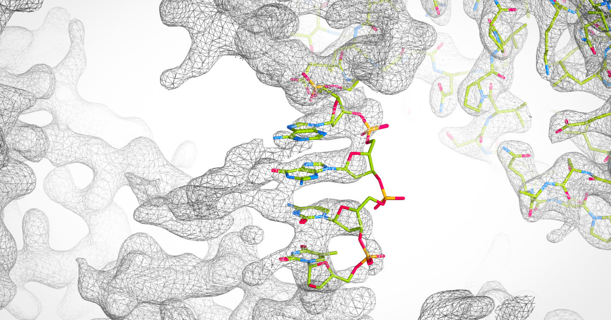 Flexible DNA transforms protein crystallization