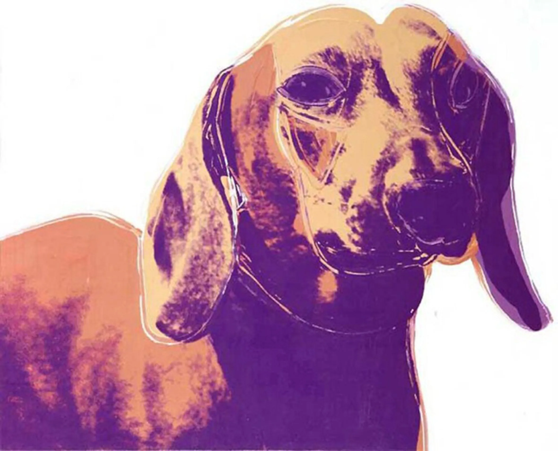 Illustration of a dachshund dog in shades of orange and purple on a white background.