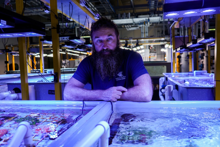 A man leaning against a coral tank.
