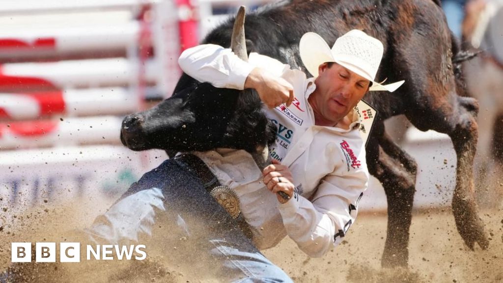 At Canada's biggest rodeo, the starting gun is fired in the fight over Alberta separation - BBC