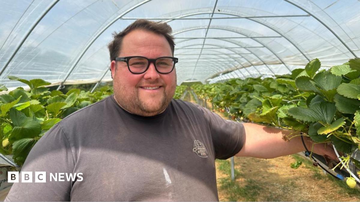 A man standing in front of polytunnels full of strawberries. The man has short brown hair and is wearing a dark grey polo shirt.
