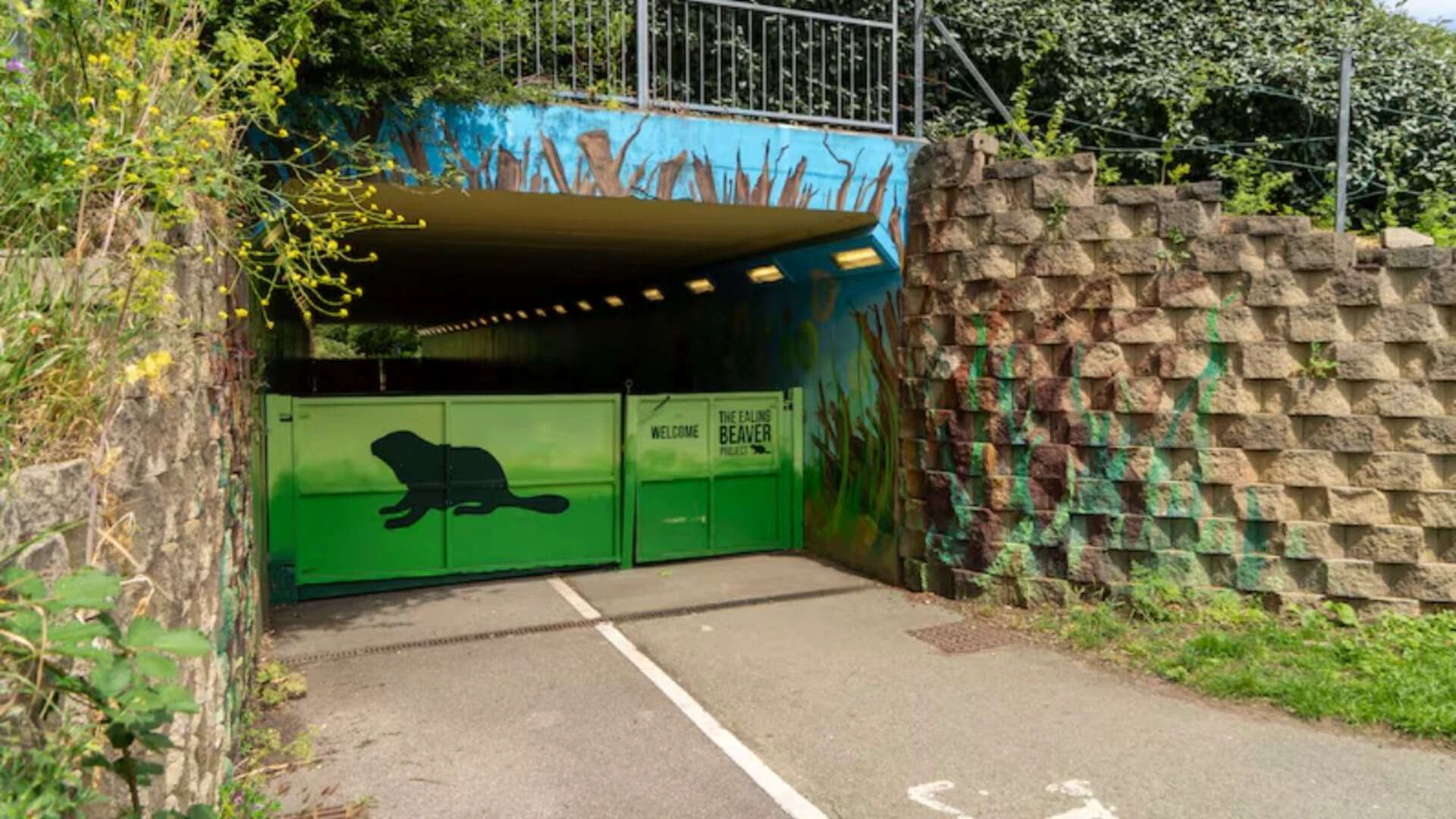 People of the area are embarking on beaver safaris to spot the adorable rodents Ealing welcomes beavers<br><br>
