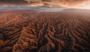 The Best Shots From the 2026 Aerial Photographer of the Year Contest - Kottke.org