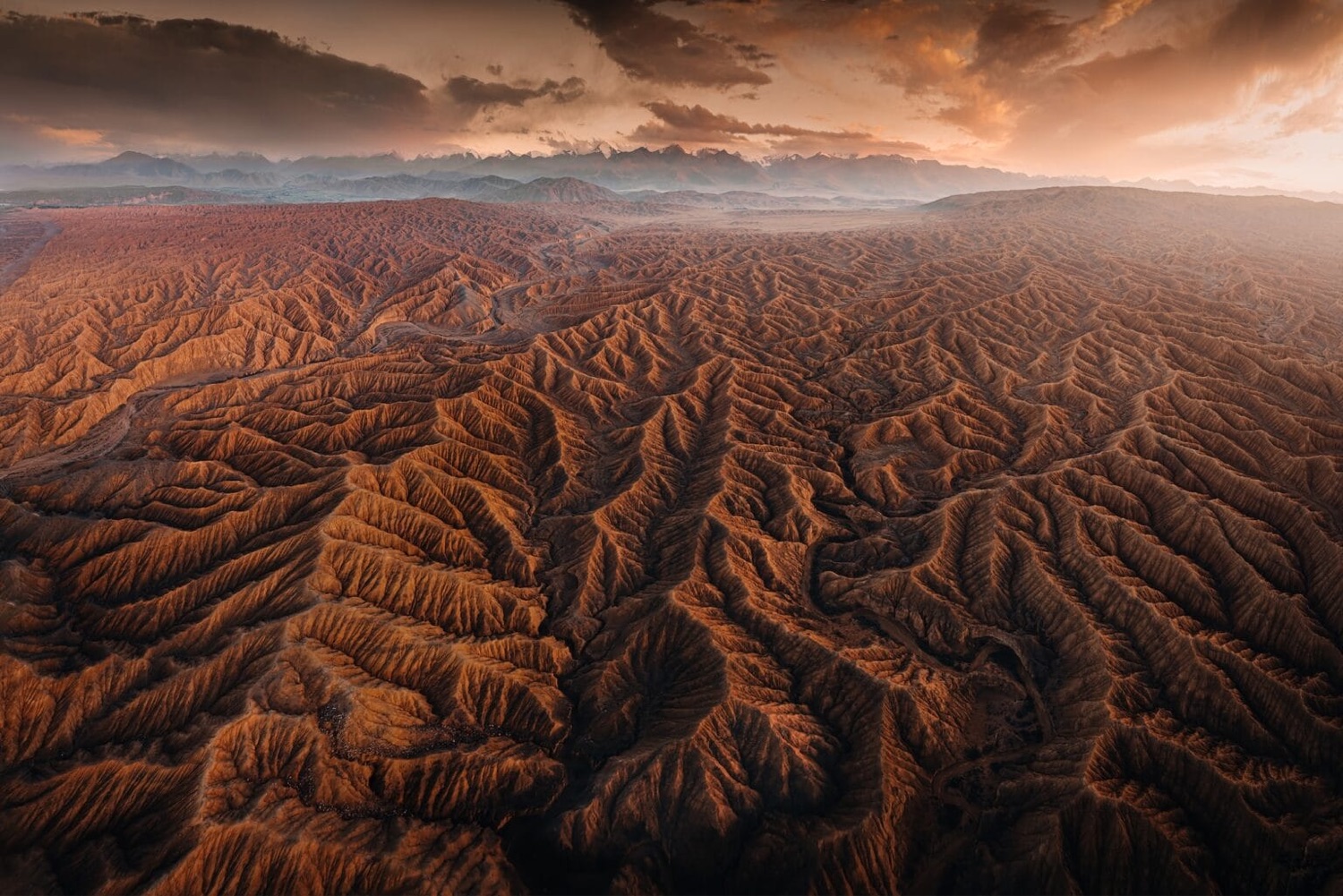 The Best Shots From the 2026 Aerial Photographer of the Year Contest - Kottke.org