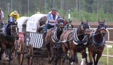 Glass wins Day 5 at Calgary Stampede Rangeland Derby