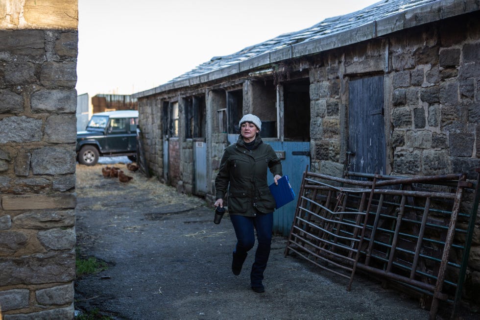 Moira Dingle, Emmerdale moira dingle walks through farm in emmerdale