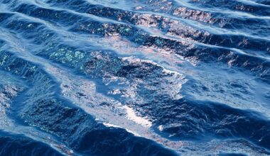 the ocean