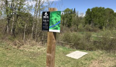 Hundreds of competitors in Grande Prairie for disc golf championships