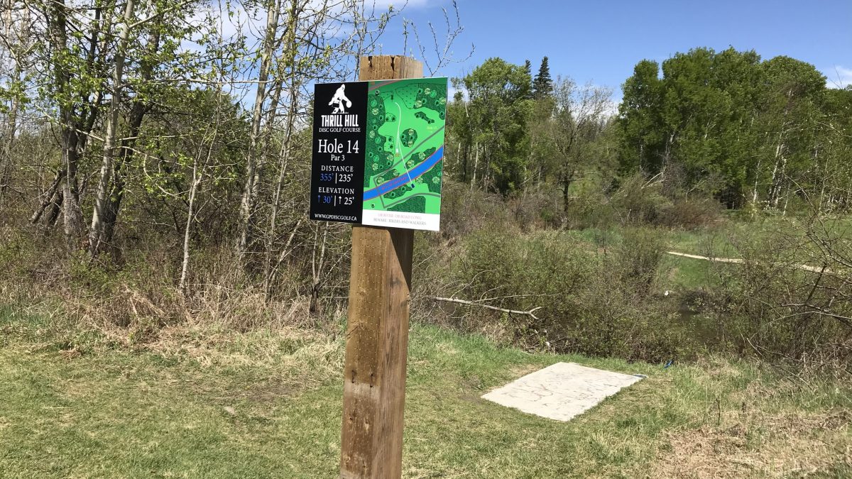 Hundreds of competitors in Grande Prairie for disc golf championships