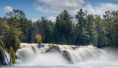 See Orillia through the eyes of local photographers