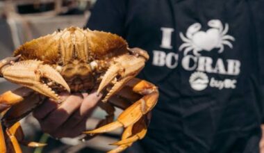 What to book this July: Metro Vancouver's best food events, tasting menus and summer experiences