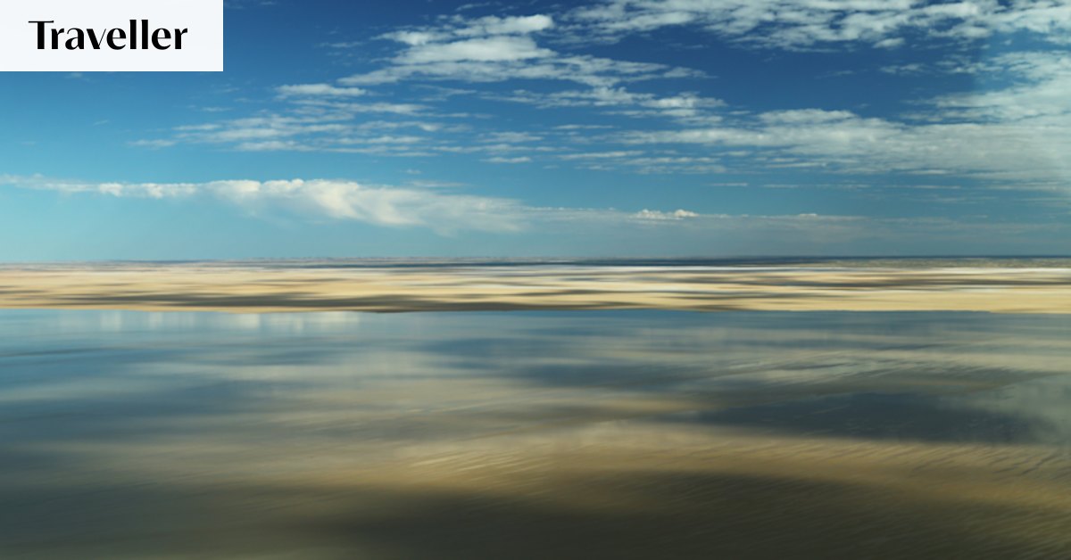 Kati Thanda-Lake Eyre flooding: Rare outback event creates wildlife spectacle, covers desert in greenery