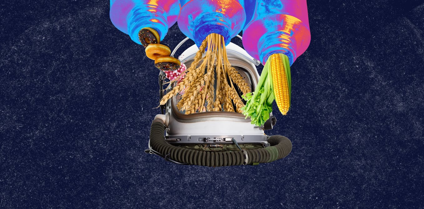 From pureed meals to fresh greens: how space food is advancing to keep astronauts healthy