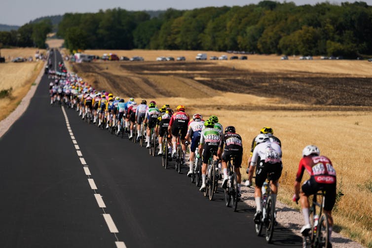 A pack of cyclists rides past dry fields during the eleventh stage of the Tour de France cycling race.
