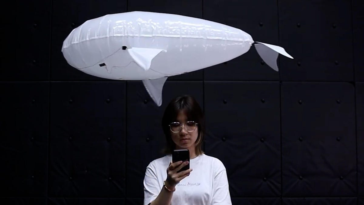 large white balloon-like robot with fins floats over a person on their phone