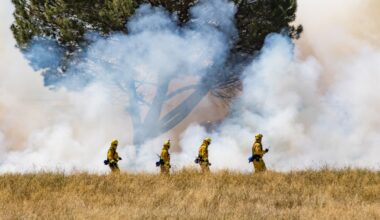 Eight new fires reported in Northeast Region