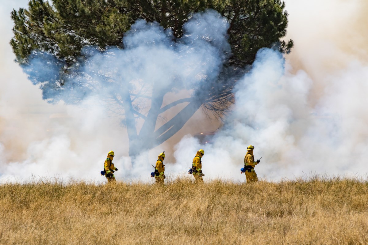Eight new fires reported in Northeast Region