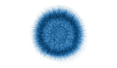 Invasive Mold Disease Tied to High ICU and Ventilation Rates