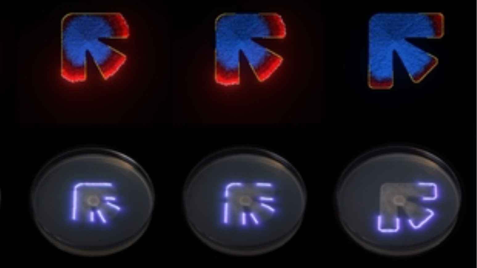 A series of simulations of a shape are shown, with that shape traced out in a petri dish with a laser below. The shape is roughly like a 90-degree corner bisected by a third arm.