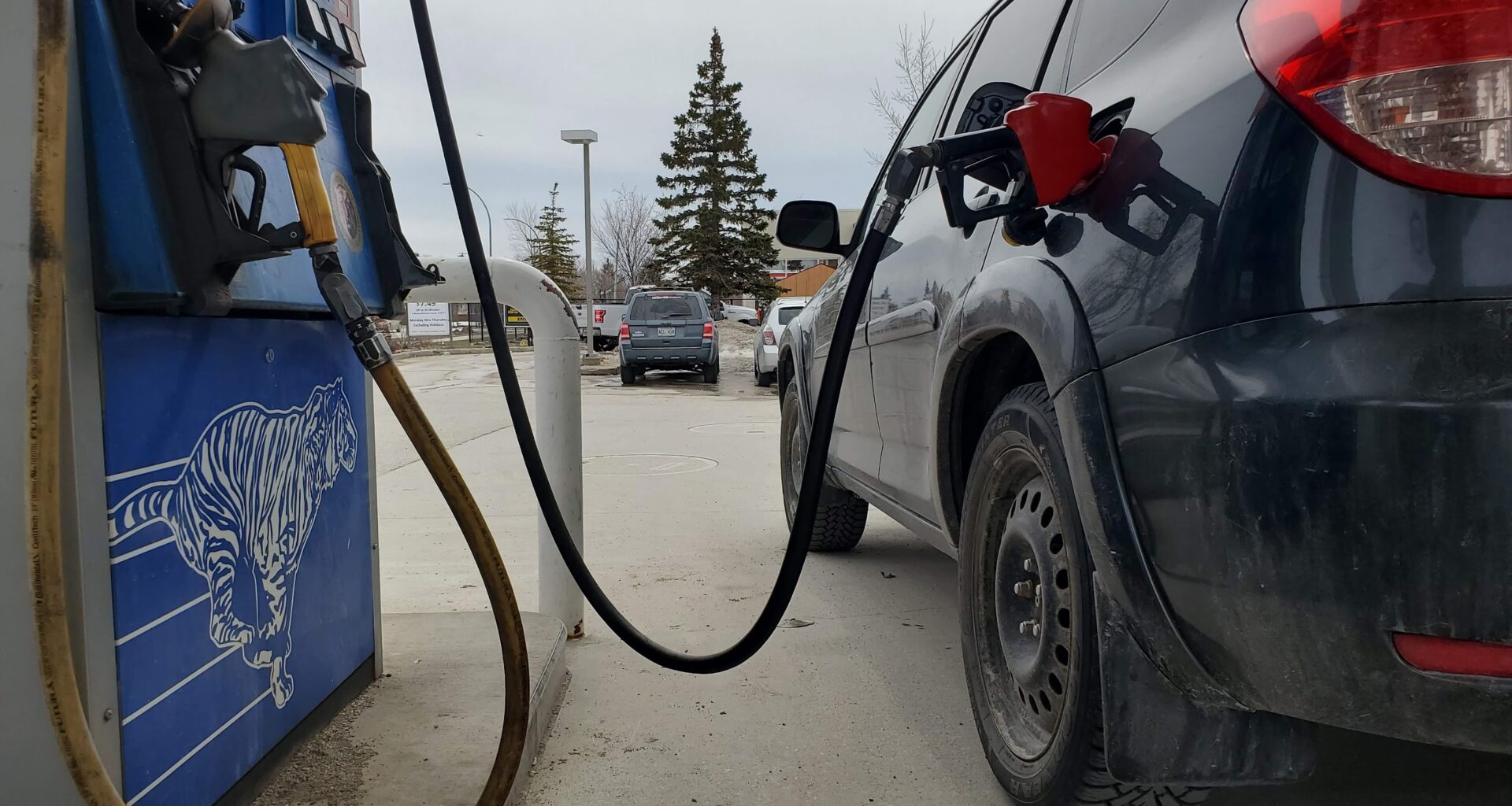 GasBuddy predicts more pain at Manitoba pumps