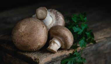 Portobello Mushrooms: Health Benefits and Cooking Tips