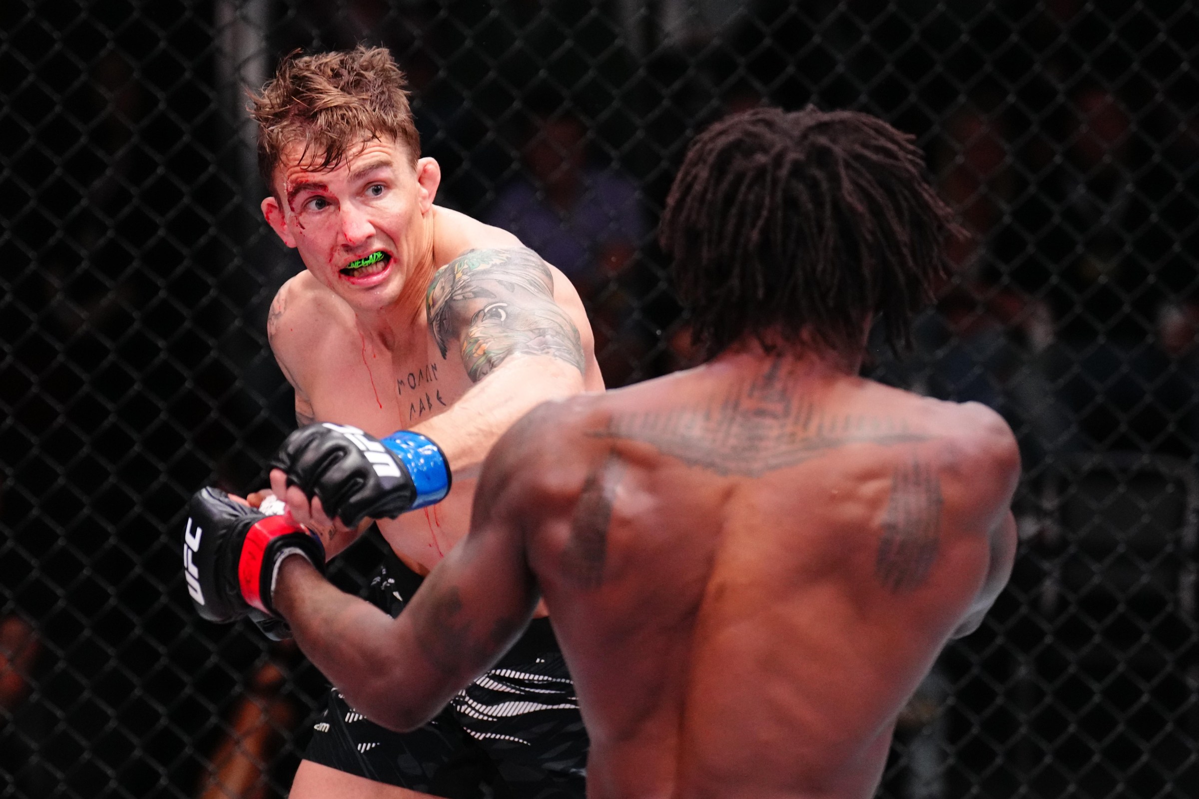 Cody Gibson opens the show at UFC Abu Dhabi.