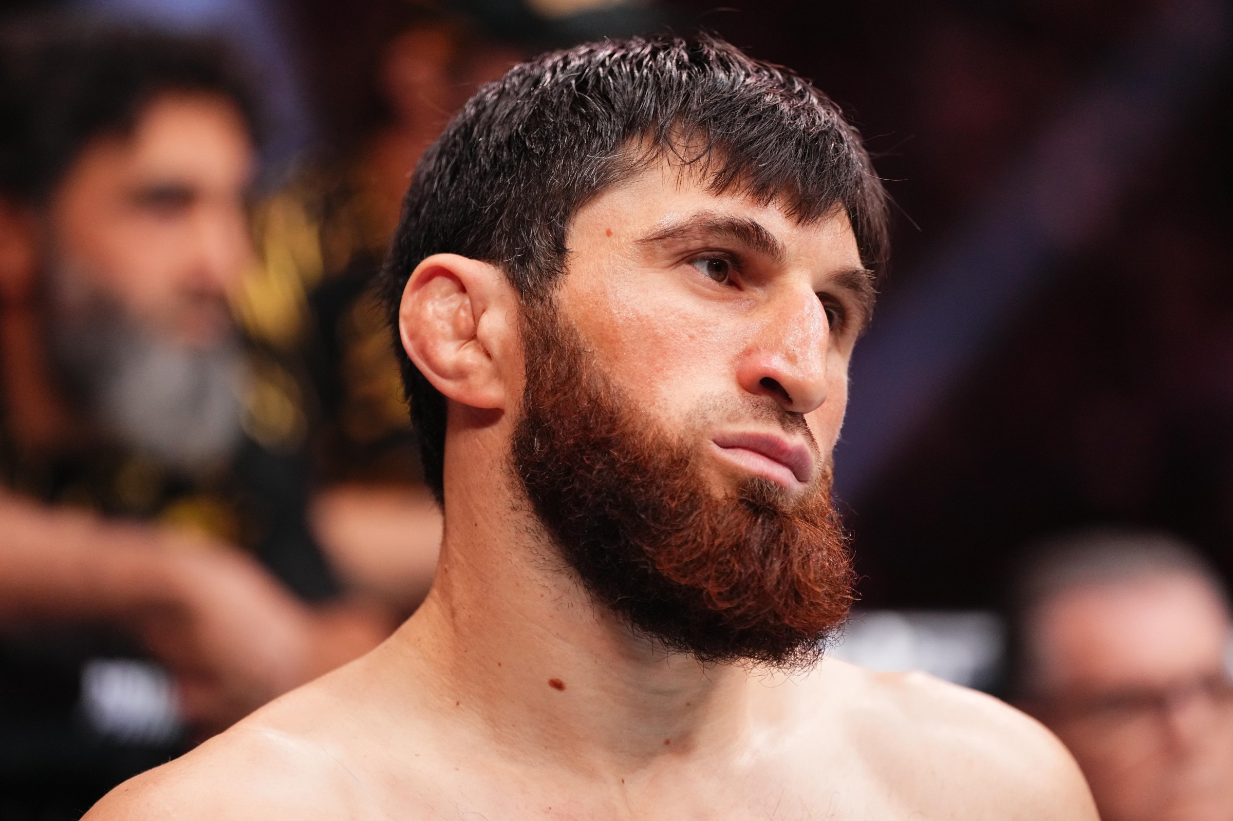 Magomed Ankalaev gets a short notice opponent at UFC Abu Dhabi.