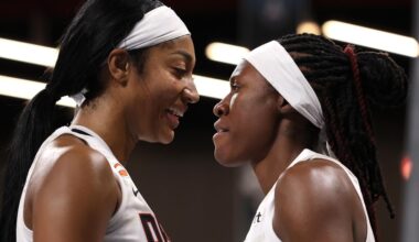 WNBA: Who did, and didn’t, make the All-Star reserve cut?