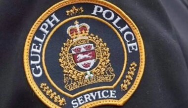 guelph police brampton driver stunt