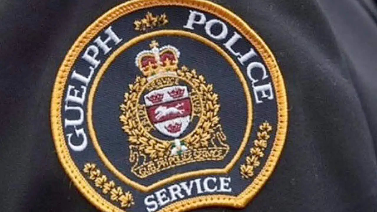 guelph police brampton driver stunt
