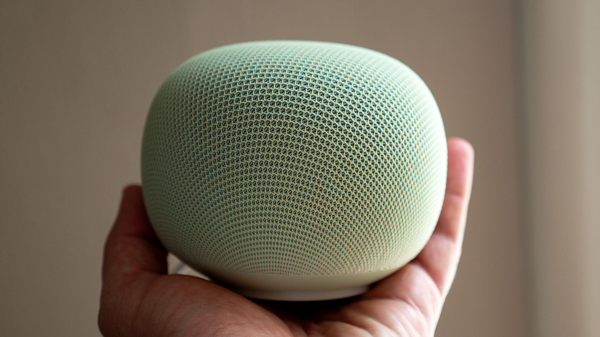 Holding the Jade Google Home Speaker