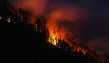 Canada wildfires: B.C. braces for intense firefighting week as smoke, poor air quality spreads