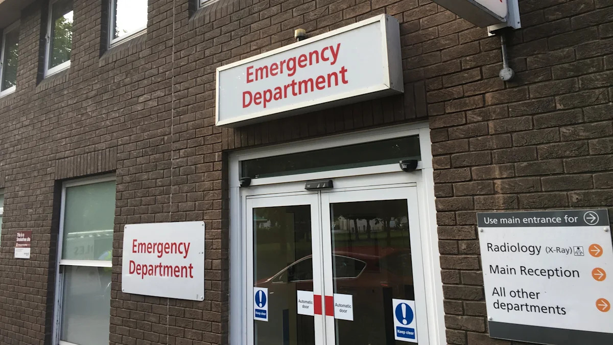 Health charges would need public support - report