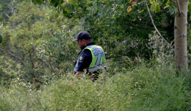 Police close one entrance to Nose Hill Park in continued search for missing boy