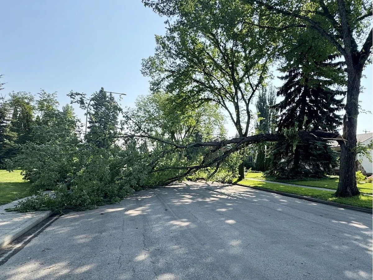 Severe thunderstorm hammers Edmonton causing flooding, road closures