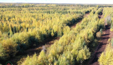 Ottawa approves Ontario nickel mine that could be western world's largest