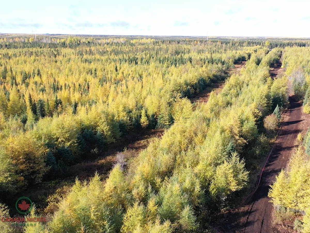 Ottawa approves Ontario nickel mine that could be western world's largest