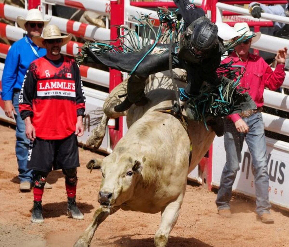 Big Tech joins Calgary Stampede oil bash, as Canada courts data centers