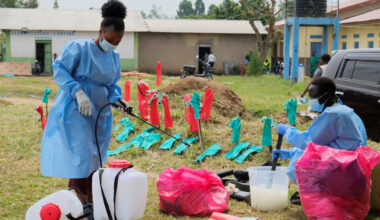 Ebola cases in DRC may be four times official tally, says WHO