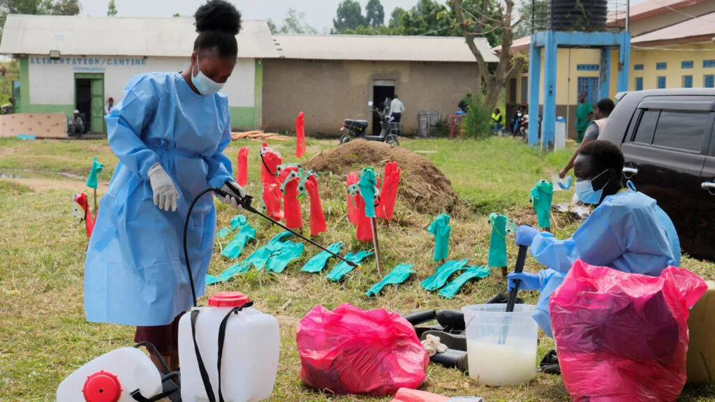 Ebola cases in DRC may be four times official tally, says WHO