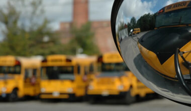 Pennsylvania school bus driver says she was fired after stopping to save 8 baby opossums