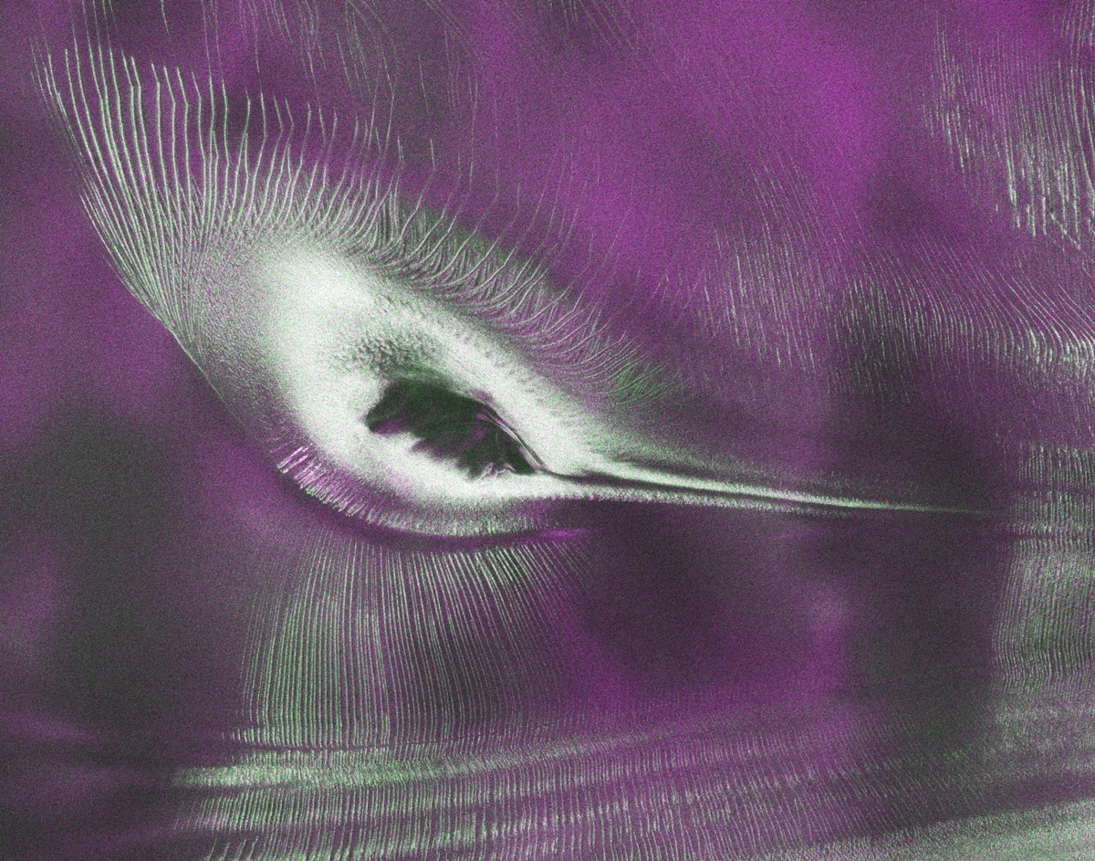 This satellite image of a 'hummingbird' isn't what you think