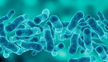 NYC 'confident' Legionnaires' disease source has been eradicated