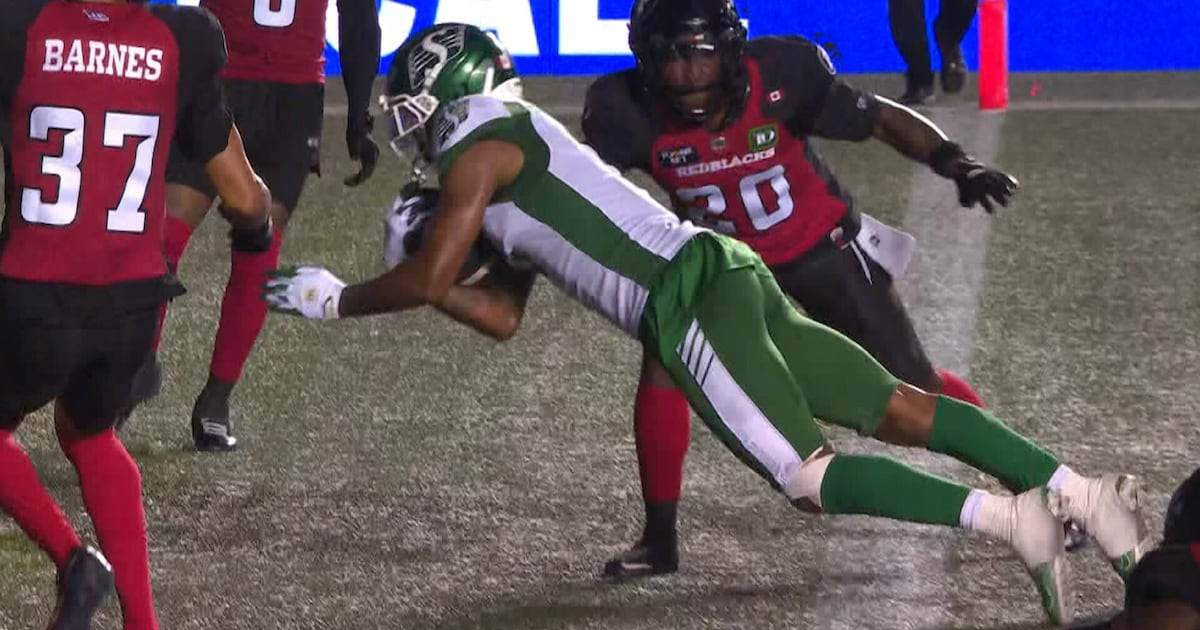 Johnson hauls in 23-yard pass to extend Riders' lead – TSN