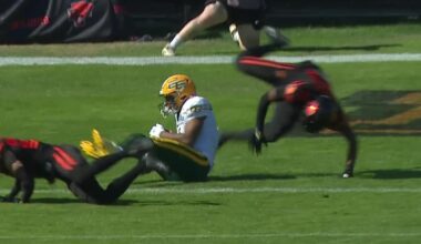 Fajardo tosses a 7-yard touchdown pass to Julien-Grant – TSN